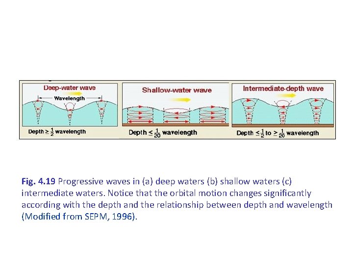 Fig. 4. 19 Progressive waves in (a) deep waters (b) shallow waters (c) intermediate