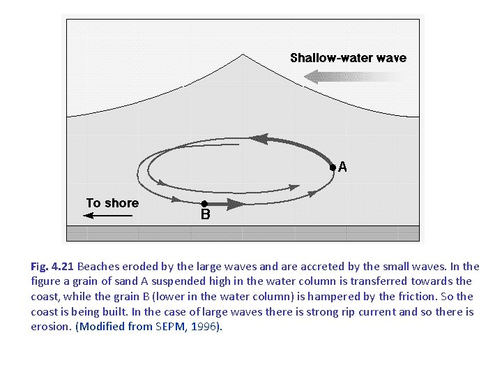 Fig. 4. 21 Beaches eroded by the large waves and are accreted by the