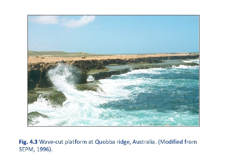 Fig. 4. 3 Wave-cut platform at Quobba ridge, Australia. (Modified from SEPM, 1996). 