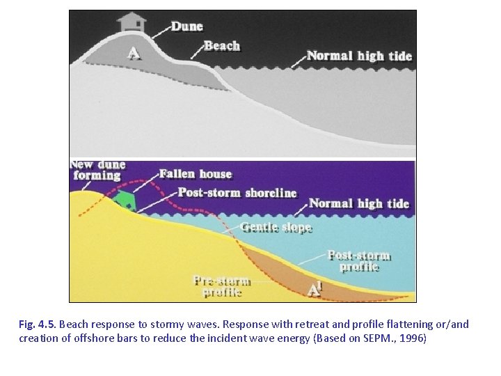 Fig. 4. 5. Beach response to stormy waves. Response with retreat and profile flattening