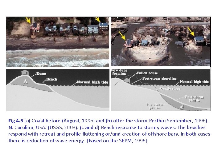 Fig 4. 6 (a) Coast before (August, 1996) and (b) after the storm Bertha