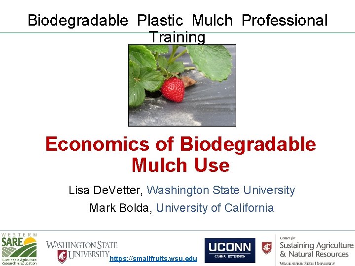 Biodegradable Plastic Mulch Professional Training Economics of Biodegradable Mulch Use Lisa De. Vetter, Washington