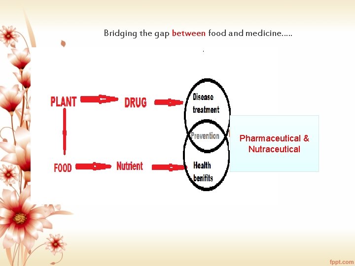 Bridging the gap between food and medicine…. . Pharmaceutical & Nutraceutical 