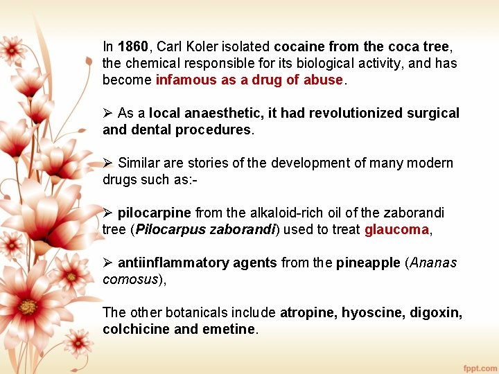 In 1860, Carl Koler isolated cocaine from the coca tree, the chemical responsible for