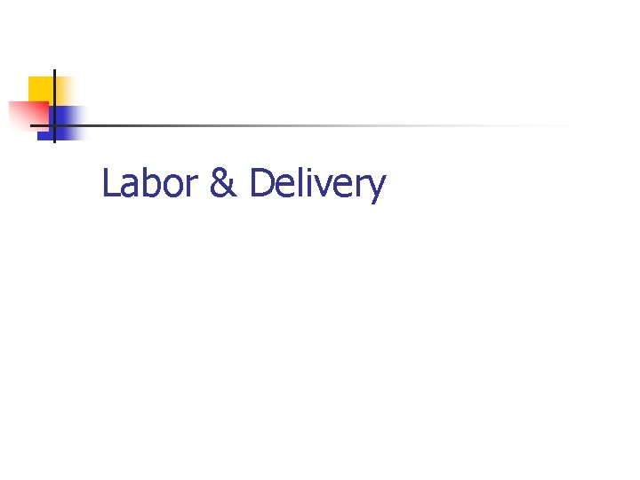 Labor & Delivery 