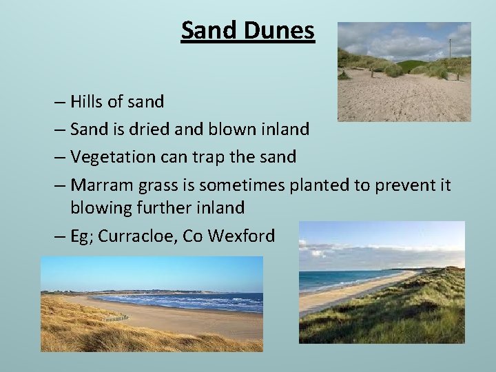 Sand Dunes – Hills of sand – Sand is dried and blown inland –