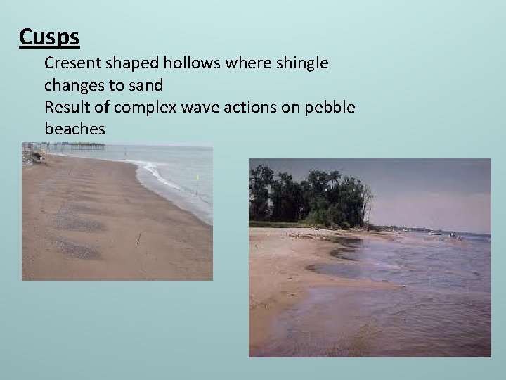 Cusps Cresent shaped hollows where shingle changes to sand Result of complex wave actions