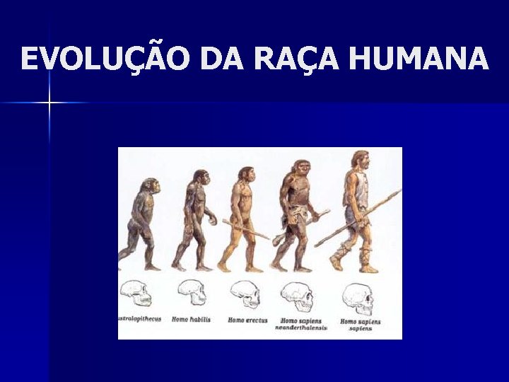 EVOLUÇÃO DA RAÇA HUMANA 