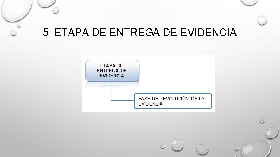 5. ETAPA DE ENTREGA DE EVIDENCIA 