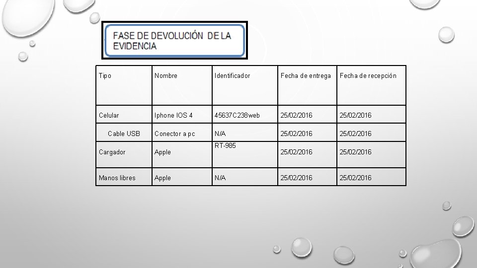 Tipo Nombre Identificador Fecha de entrega Fecha de recepción Celular Iphone IOS 4 45637