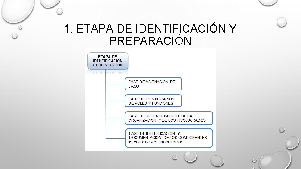 1. ETAPA DE IDENTIFICACIÓN Y PREPARACIÓN 