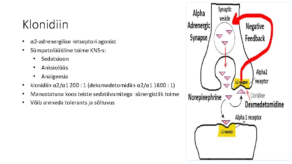 Klonidiin • α 2 -adrenergilise retseptori agonist • Sümpatolüütiline toime KNS-s: • Sedatsioon •