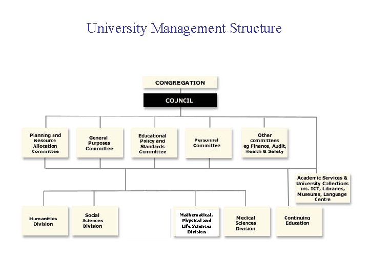University Management Structure Mathematical, Physical and Life Sciences Division 