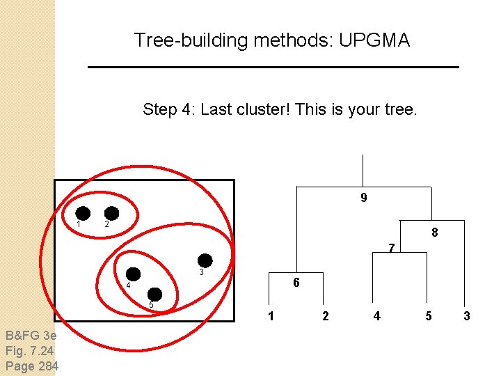 Tree-building methods: UPGMA Step 4: Last cluster! This is your tree. 9 1 2