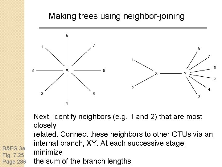 Making trees using neighbor-joining B&FG 3 e Fig. 7. 25 Page 286 Next, identify