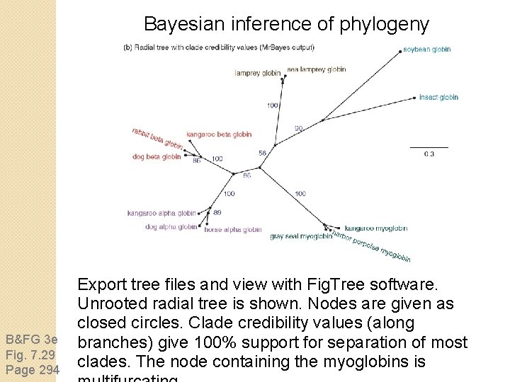 Bayesian inference of phylogeny B&FG 3 e Fig. 7. 29 Page 294 Export tree