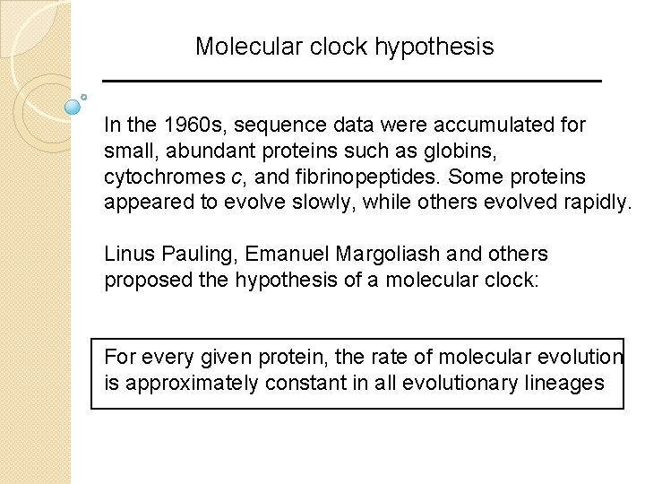 Molecular clock hypothesis In the 1960 s, sequence data were accumulated for small, abundant