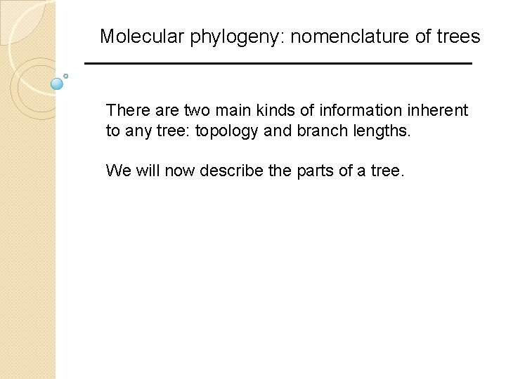 Molecular phylogeny: nomenclature of trees There are two main kinds of information inherent to