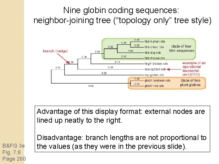 Nine globin coding sequences: neighbor-joining tree (“topology only” tree style) Advantage of this display