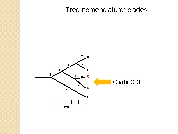 Tree nomenclature: clades 2 A F 1 I 1 2 G B H 2