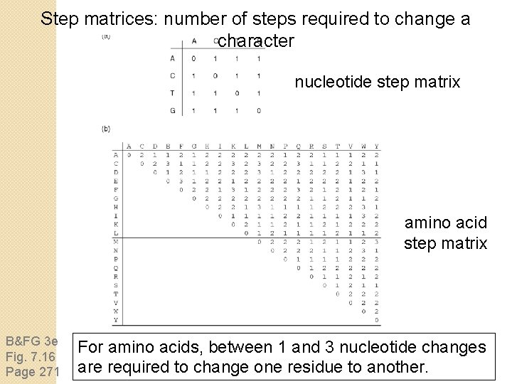 Step matrices: number of steps required to change a character nucleotide step matrix amino