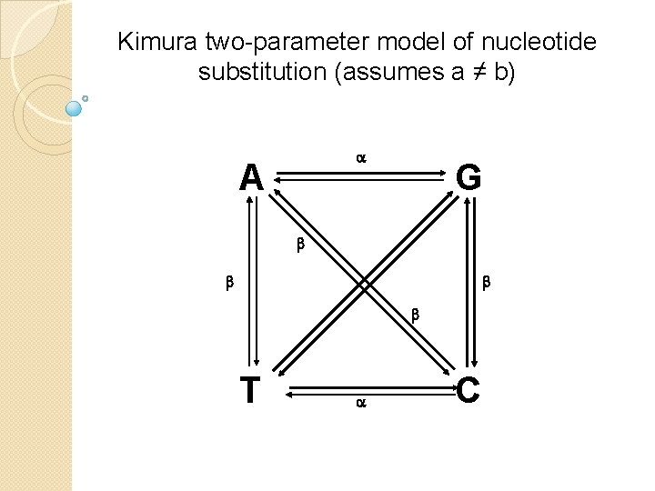 Kimura two-parameter model of nucleotide substitution (assumes a ≠ b) a A G b