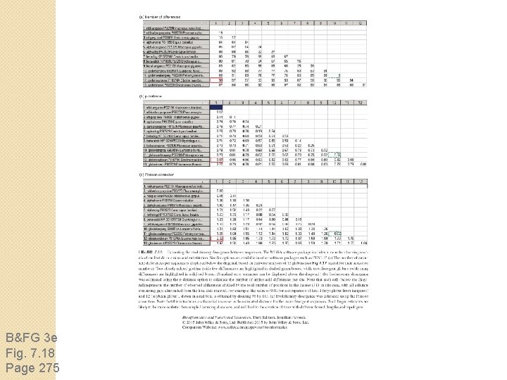 B&FG 3 e Fig. 7. 18 Page 275 