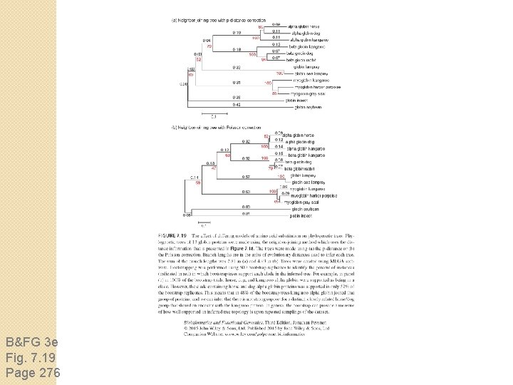 B&FG 3 e Fig. 7. 19 Page 276 