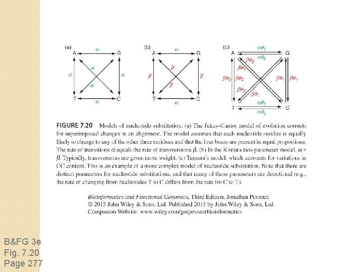 B&FG 3 e Fig. 7. 20 Page 277 