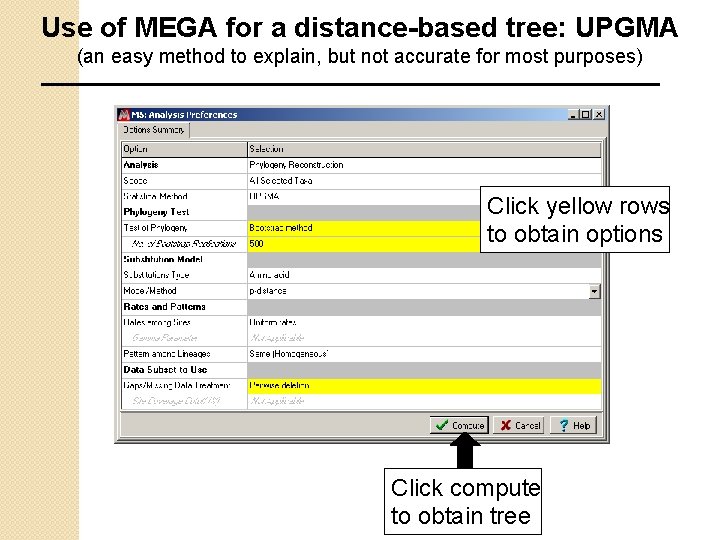 Use of MEGA for a distance-based tree: UPGMA (an easy method to explain, but