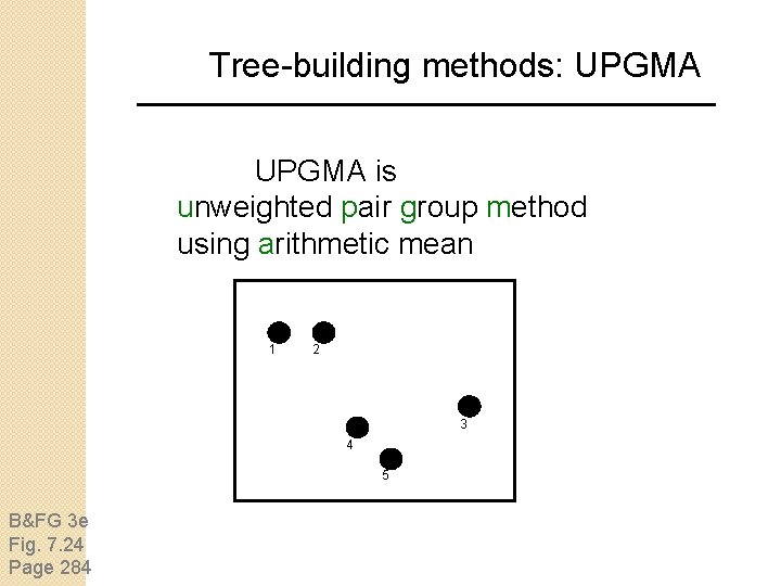 Tree-building methods: UPGMA is unweighted pair group method using arithmetic mean 1 2 3