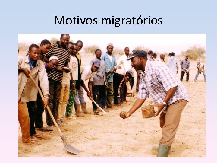 Motivos migratórios 