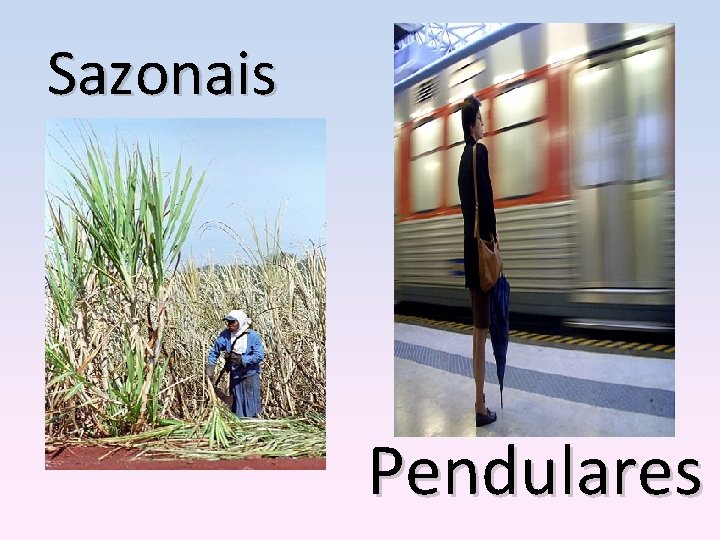 Sazonais Pendulares 