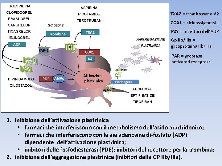 TXA 2 = trombossano A 2 COX 1 = cicloossigenasi 1 P 2 Y