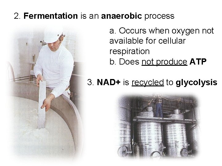  2. Fermentation is an anaerobic process a. Occurs when oxygen not available for