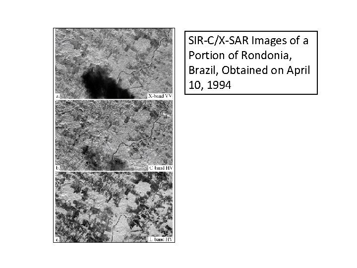 SIR-C/X-SAR Images of a Portion of Rondonia, Brazil, Obtained on April 10, 1994 