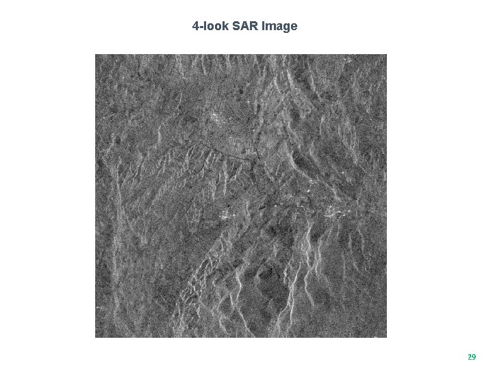 4 -look SAR Image 29 