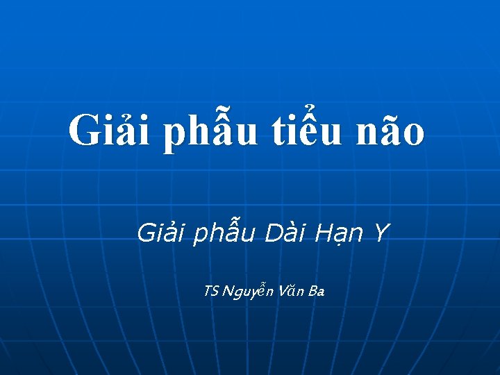 Giải phẫu tiểu não Giải phẫu Dài Hạn Y TS Nguyễn Văn Ba 