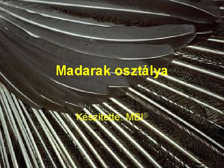 Madarak osztálya Készítette: MBI® 