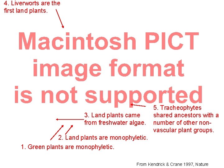 4. Liverworts are the first land plants. 3. Land plants came from freshwater algae.