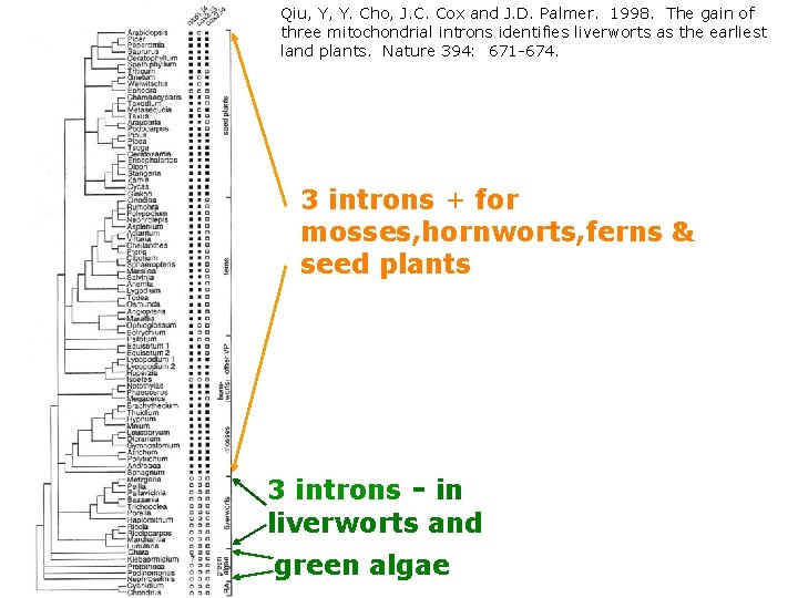 Qiu, Y, Y. Cho, J. C. Cox and J. D. Palmer. 1998. The gain
