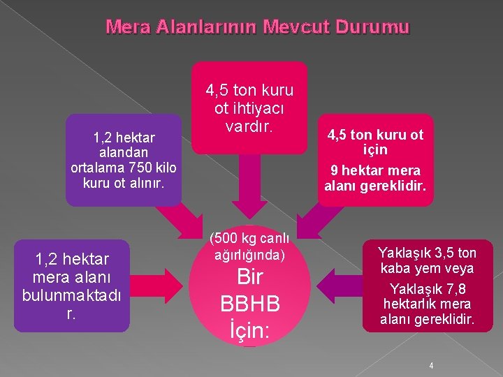 Mera Alanlarının Mevcut Durumu 1, 2 hektar alandan ortalama 750 kilo kuru ot alınır.