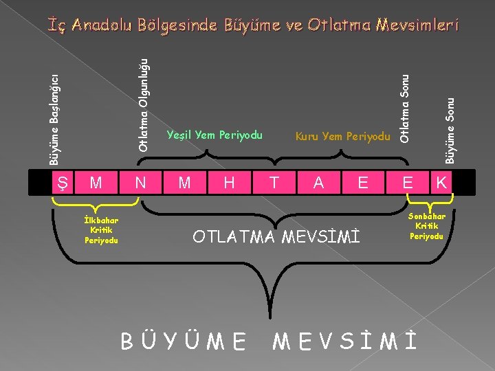 Ş M İlkbahar Kritik Periyodu N M H Kuru Yem Periyodu T A E