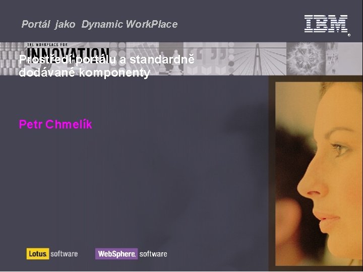 Portál jako Dynamic Work. Place Prostředí portálu a standardně dodávané komponenty Petr Chmelík 