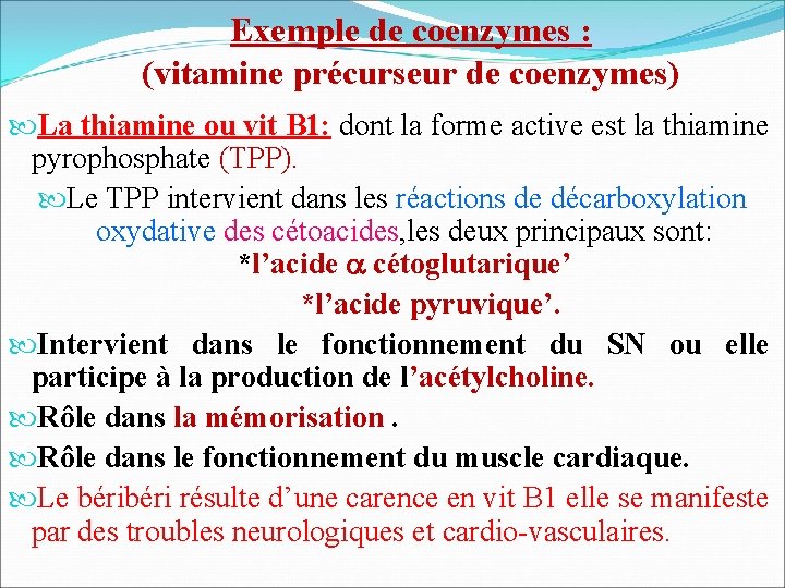 Exemple de coenzymes : (vitamine précurseur de coenzymes) La thiamine ou vit B 1: