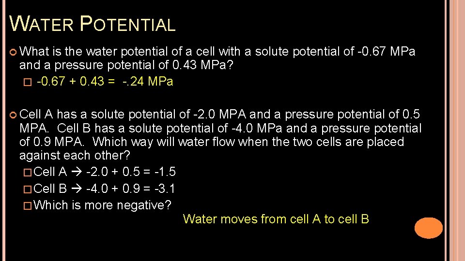 WATER POTENTIAL What is the water potential of a cell with a solute potential