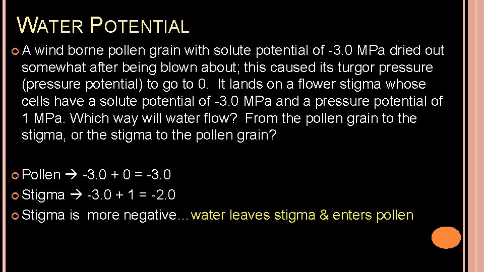 WATER POTENTIAL A wind borne pollen grain with solute potential of -3. 0 MPa