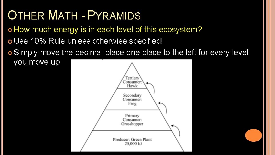 OTHER MATH - PYRAMIDS How much energy is in each level of this ecosystem?