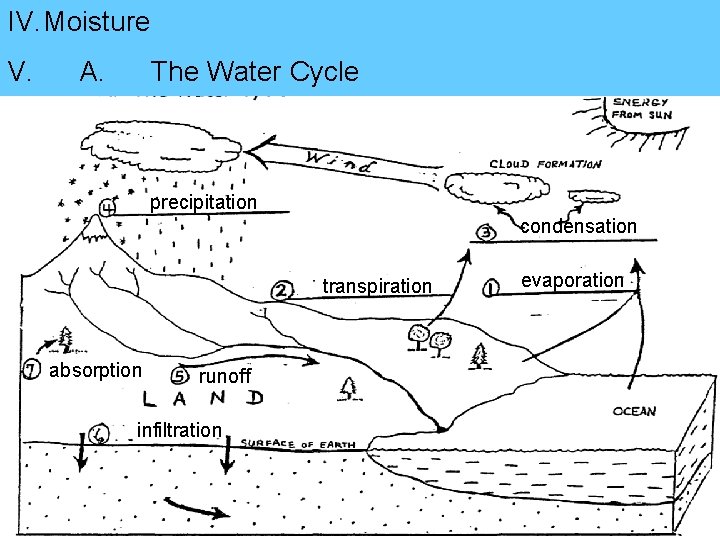 IV. Moisture V. A. The Water Cycle precipitation condensation transpiration absorption runoff infiltration evaporation