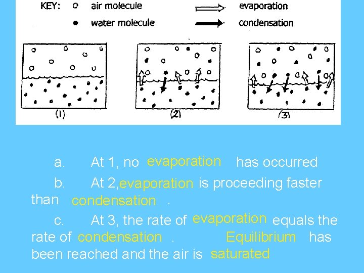 a. At 1, no evaporation has occurred b. At 2, evaporation is proceeding faster